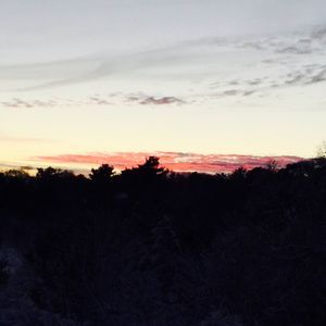 Meet your Posher, Faith